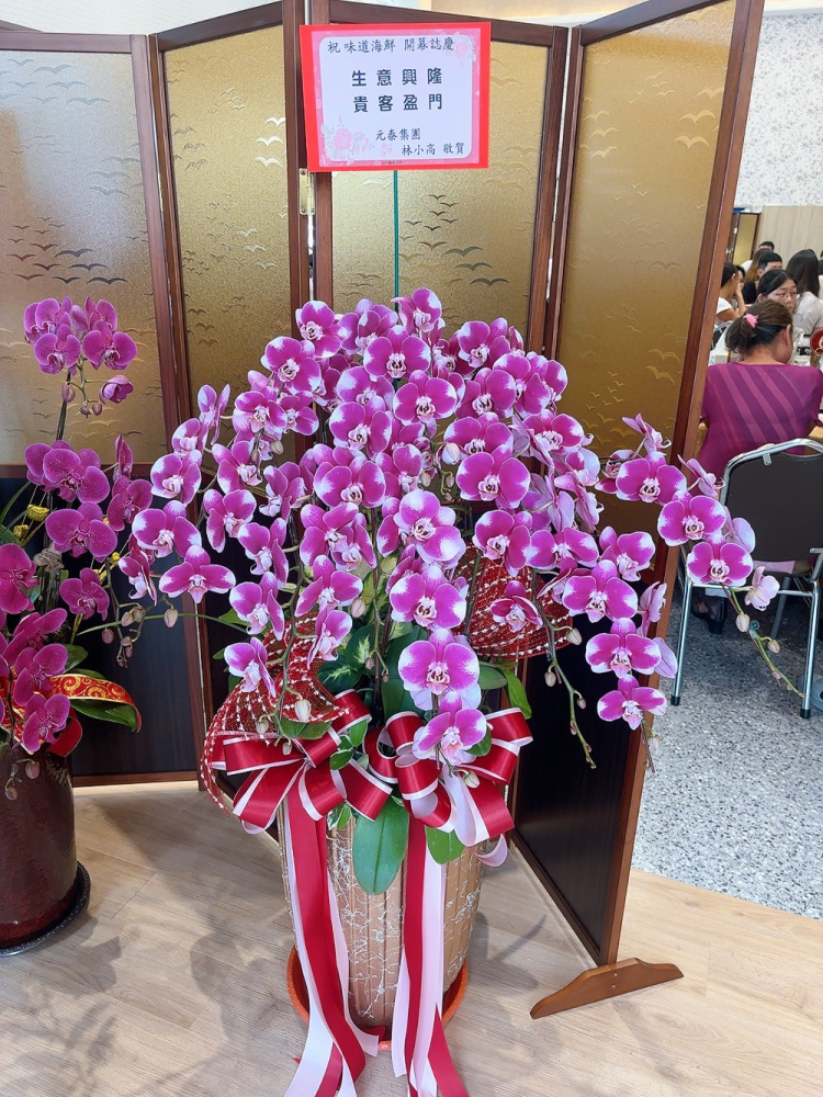 立盆型蘭花(十株) 粉色A