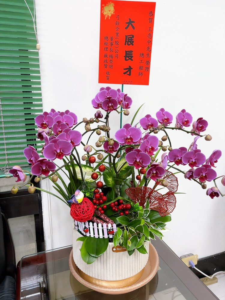 桌上型蘭花(大) 粉色C