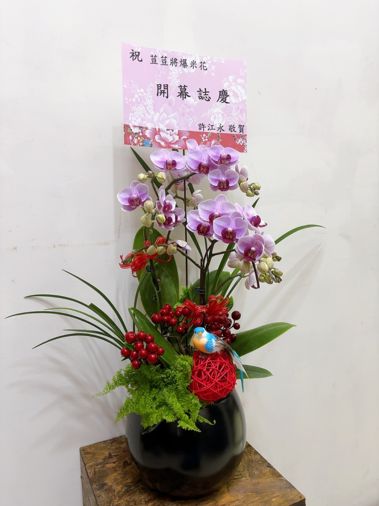 桌上型蘭花(小) 粉色A