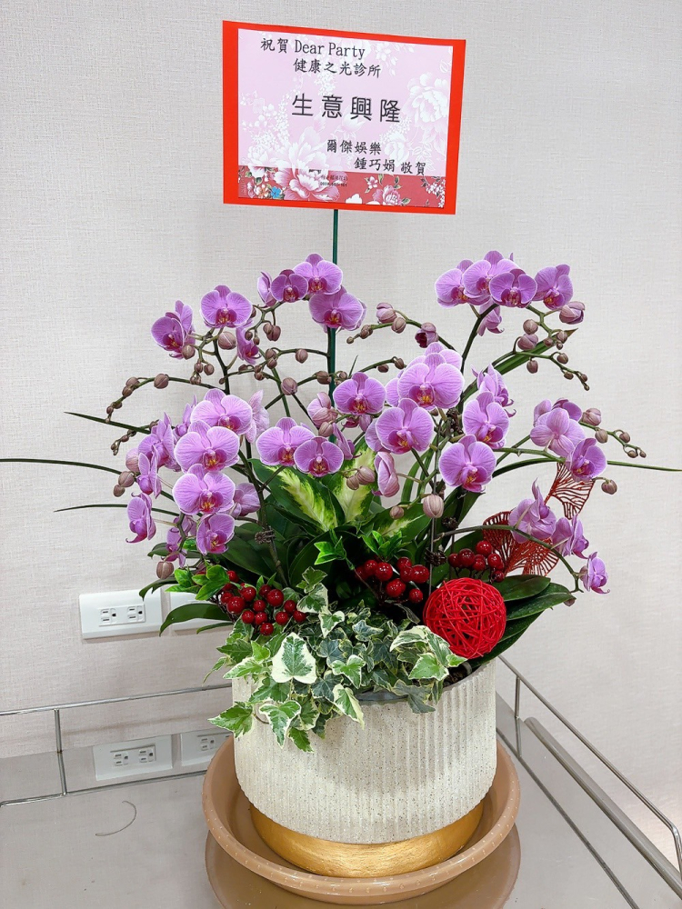 桌上型蘭花(大) 粉色A