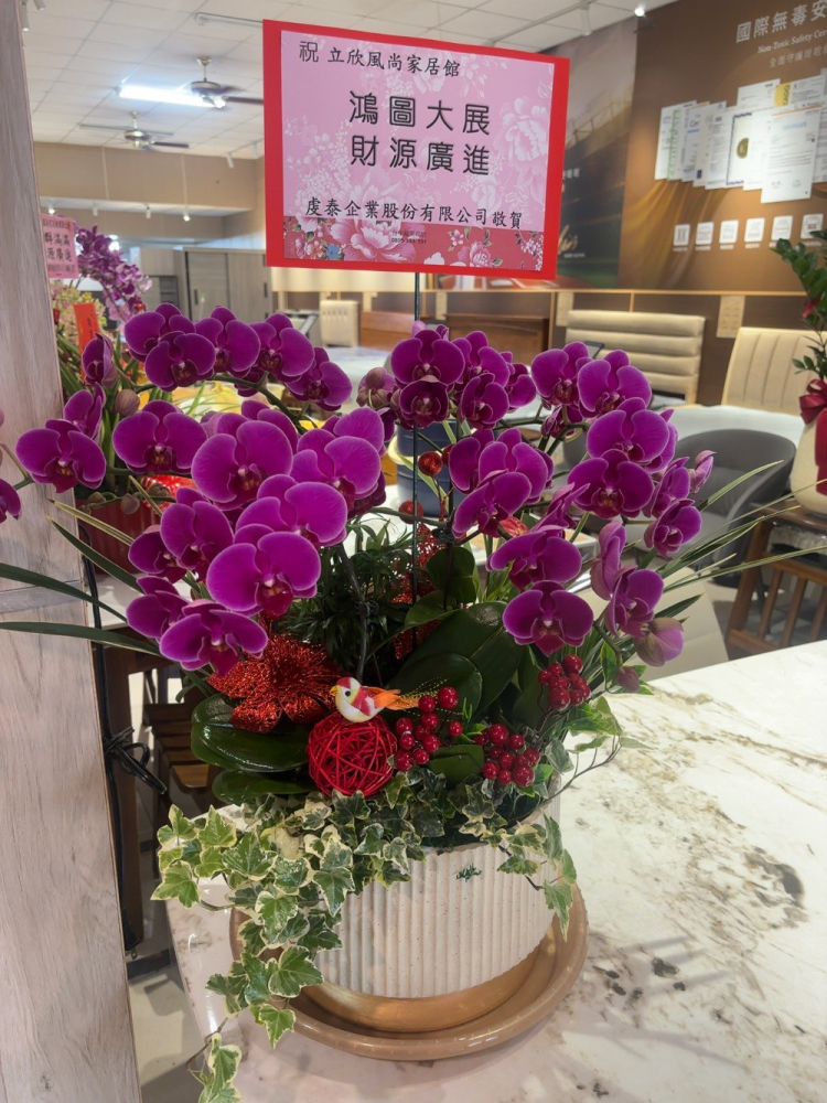 桌上型蘭花(大) 粉色B