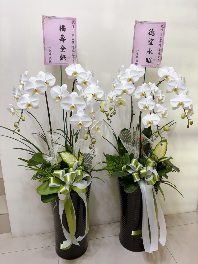 追思蘭花C
