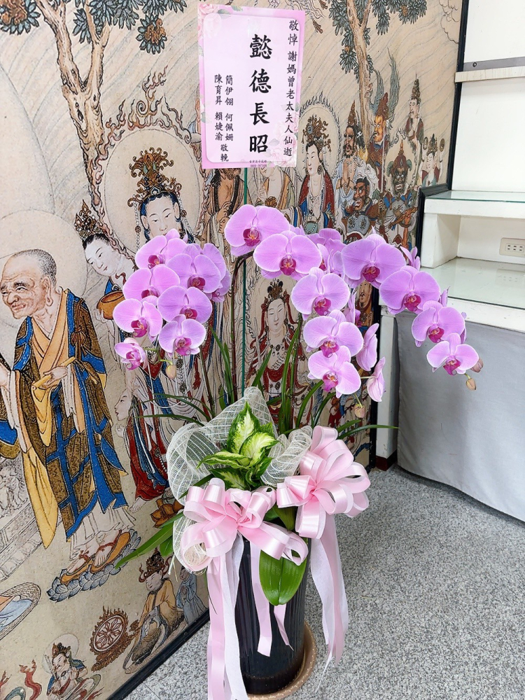 追思蘭花E
