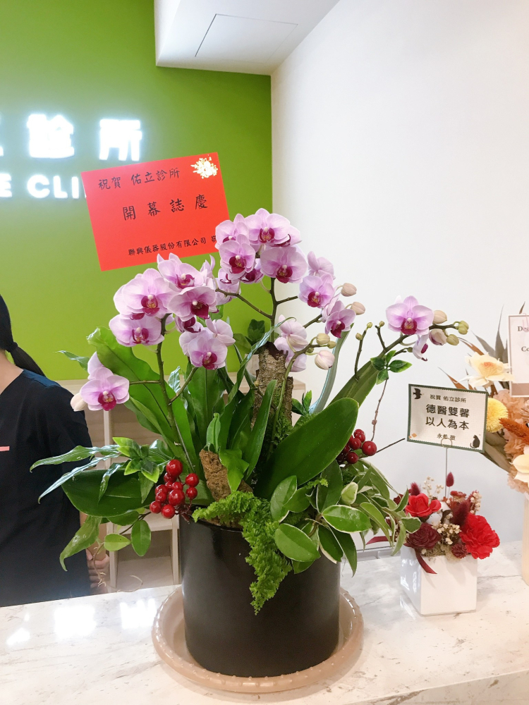 桌上型蘭花(中) 粉色B