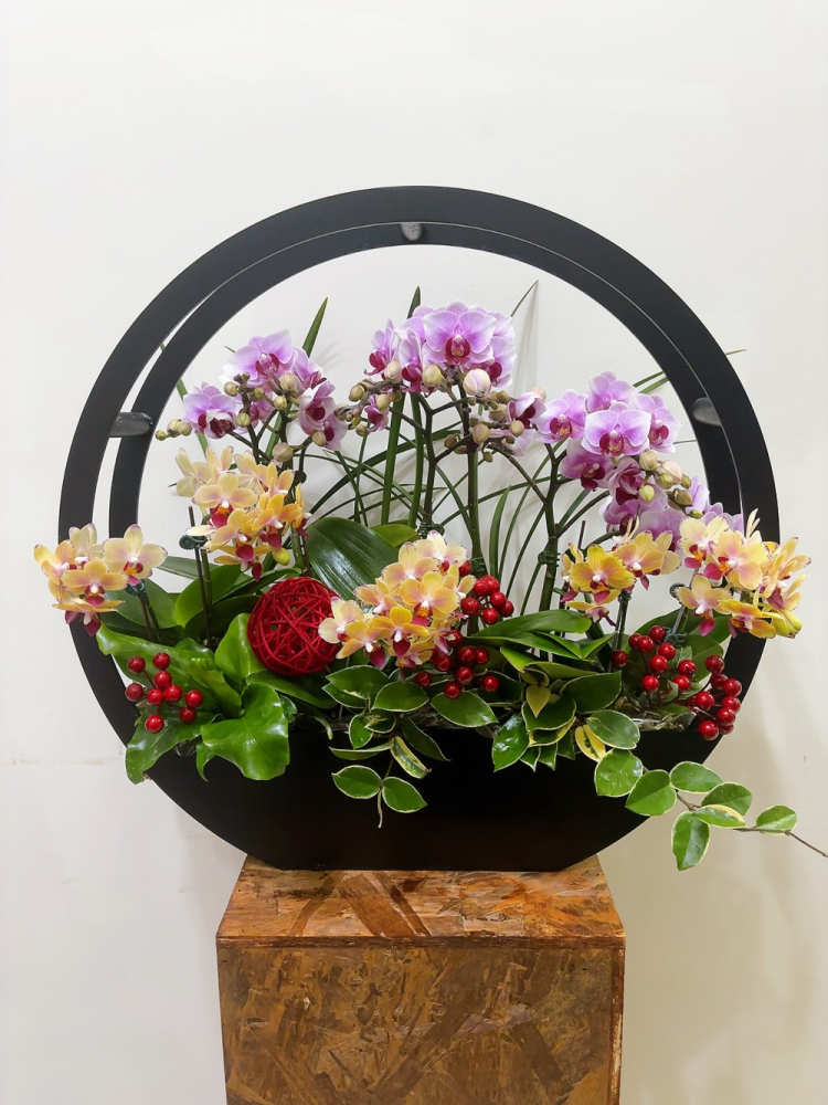 桌上型蘭花(大) 粉色E