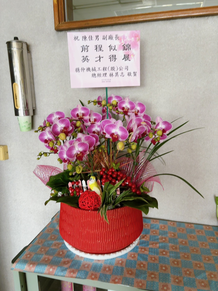 桌上型蘭花(大) 粉色F