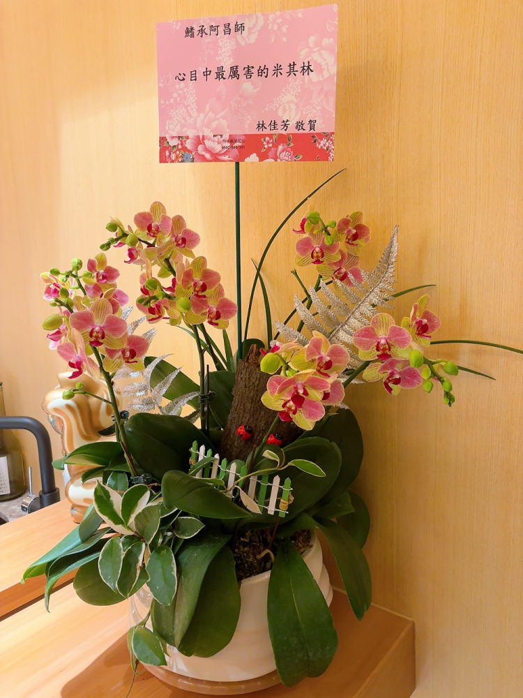 桌上型蘭花(大) 黃色A