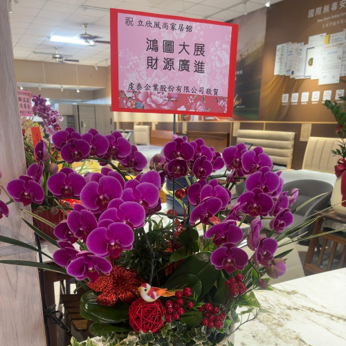 桌上型蘭花(大) 粉色B